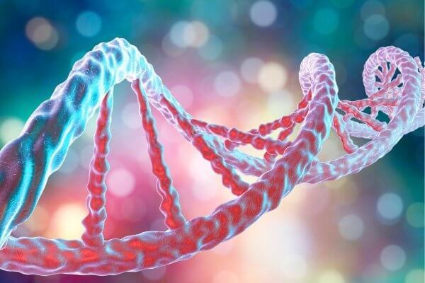 Colour image of a DNA helix