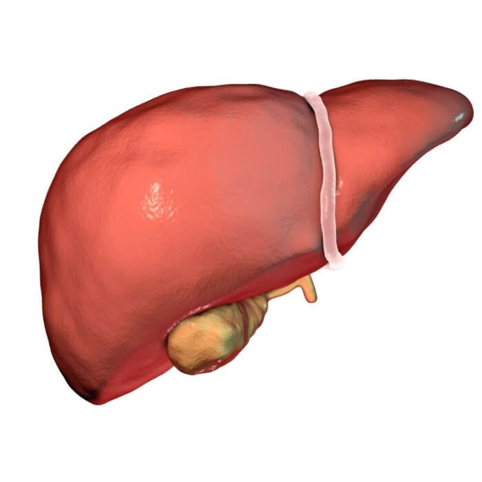 Detox Liver Home Remedies