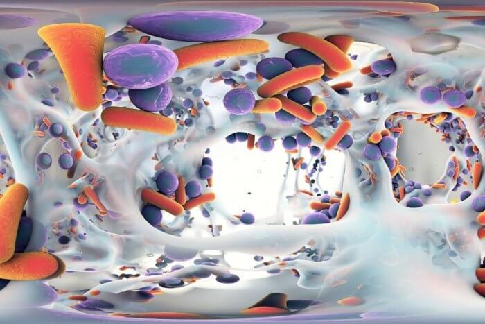 Antibiotic Resistance