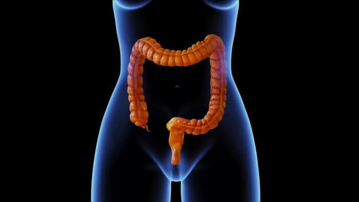 Pelvic Pain Causes