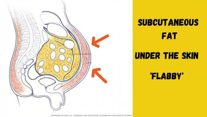 Image of abdomen to show how to lose stubborn belly fat